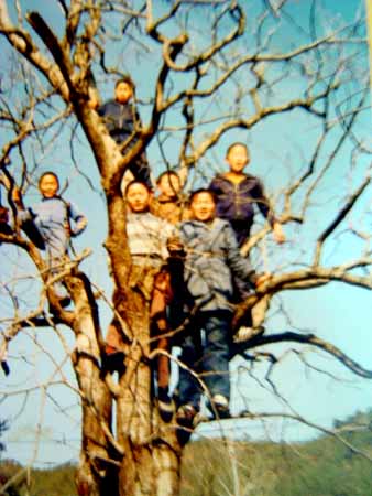 동네 아이들끼리 학교 안에 있던 감나무에 올라 사진 한장 마저 찍었습니다. 맨 왼쪽에 혼자 삐져 나온 이가 저랍니다. 